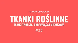 Tkanki roślinne - Część 1: Tkanki twórcza, okrywająca i miękiszowa