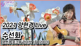 양현경 - 수선화 (LIVE 2021) 💗구독자 1,000명 돌파 감사드립니다💗 前 배따라기 가수 양현경｜통기타 라이브