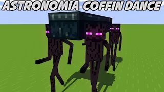 Astronomia Coffin Dance | Minecraft Animation