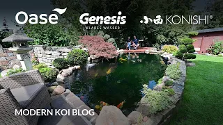 Modern Koi Blog #5519 - Karstens 15 Jahre alter und 50.000 Liter großer Koiteich