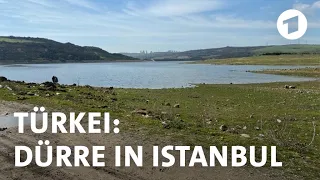 Dürre in Istanbul: Wasserversorgung von Millionen Menschen in Gefahr | Weltspiegel