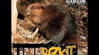 Limp Bizkit - Deserve More