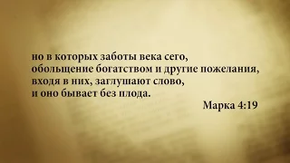 "3 минуты Библии. Стих дня" (11 декабря Марка 4:19)