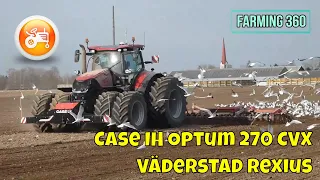 Rolling 2023 | Case IH Optum 270 CVX & Väderstad Rexius rollers