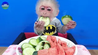 Baby Monkey Bin Bin Eats Cucumber And Watermelon Mukbang