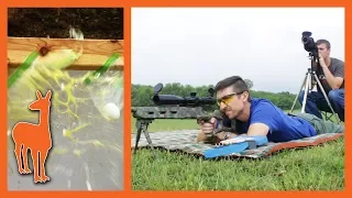 Egg Shooting Revenge! Savage 12FV Rifle in .243 Winchester at 300 Yards