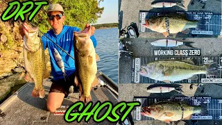 DRT Klash Ghost (Swimbait Fishing)