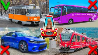 Urban transport for children. Cars for kids. Educational video for toddlers