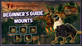 Neverwinter | Beginner's Guide: Mounts