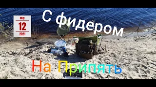 Щедрая Припять. С фидером на Припять.