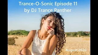 Trance-O-Sonic Episode 11