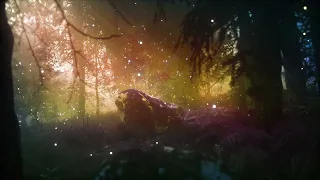 Calm Ambient Music in a Magical Fantasy Forest, To Fall Asleep Peacefully