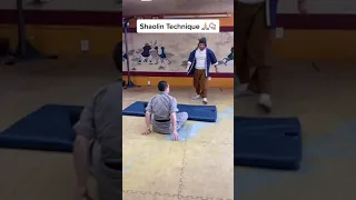 shaolin Technique with #shaolin #shaolin kungfu #shaolin monk #shaolin training #martialarts #mma