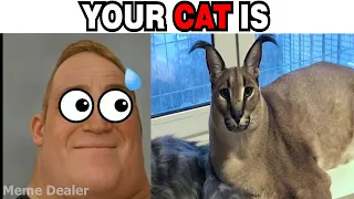 Mr Incredible Becoming Scared (Your Cat Is)