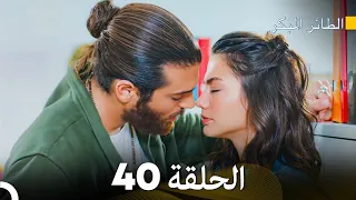 مسلسل الطائر المبكر الحلقة 40 (Arabic Dubbed)