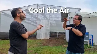 Managing Heat in Greenhouses (Tropical Climate)