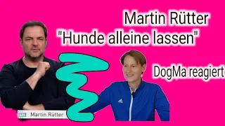 Martin Rütter zum Thema "Hund alleine lassen" | DogMa reagiert auf Hundeprofi und Rütters Team