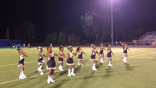 Panthers v. Sharks Termite Cheer Battle