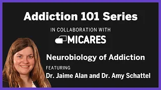 Addiction 101: Neurobiology of Addiction