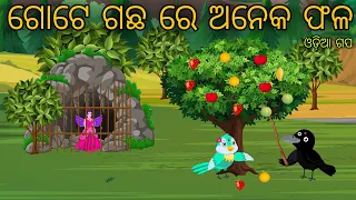 Pari O Kali  Odia Moral Stories Odia Bird Stories Tikki Chadhei Gapa Tuni Chadhei Gopo Odia Gappa