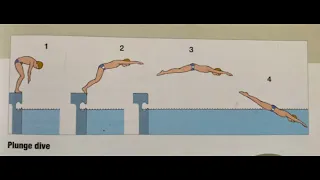 how to dive antiquity and plunge diving #aquatic #swimming #swimmer