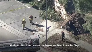 High winds wreak havoc in Southern California