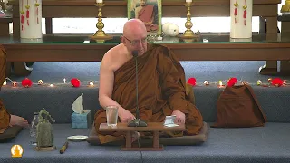 Guided Meditation | Ajahn Brahm | 10 February 2024