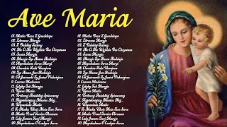 Pieśni Maryjne  - Piękne pieśni ku czci Matki Bożej Różańcowej - Pieśń dla Maryi Panny