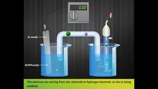 Standard Hydrogen Electrode (SHE) | Working | Electrochemistry | #LearnEngg #chemistry