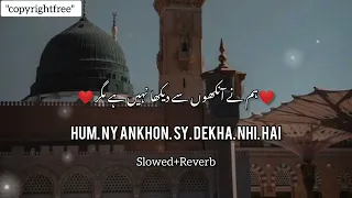 Hum ny Ankhon sy dekha nhi hai❤️||Beautiful Naat|| Slowed and Reverb