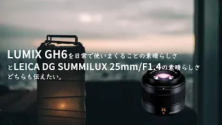 LUMIX GH6を日常で使いまくることの素晴らしさとLEICA DG SUMMILUX 25mm/F1.4の素晴らしさどちらも伝えたい。#lumix #gh6 #leica