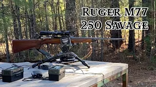 Ruger M77 250 Savage