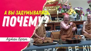 А вы задумывались, почему? | Аджан Брам | 1 января 2021 г.