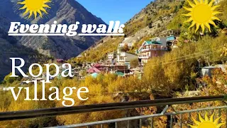 Evening walk😊||| Ropa village||| #kinnaur