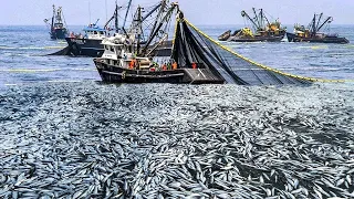 Amazing big nets catch hundreds tons of commercial herring on the modern boat - Biggest Fishing Net