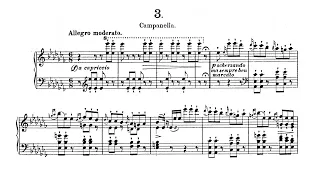 Franz Liszt - S.140 No.3, Étude d'exécution transcendante d'après Paganini (Filipec)