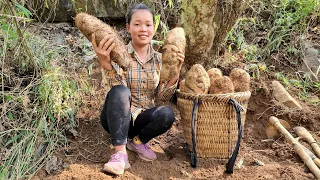 FULL VIDEO: 55 Days Harvest (Grated tubers, Bamboo shoots, Vegetables, Ginger) - market to sell