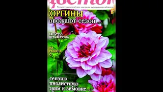 Цветок. Георгины. Гортензия. Калина для красоты волос. Варенье из барбариса.