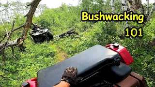 The Fine Art of Bushwacking