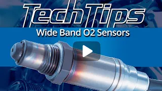 Wide Band O2 Sensors