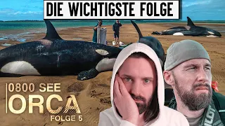 Desaster! Robert Marc Lehmanns 0800 Sea Orca Folge 5 | Filmemacher reagiert