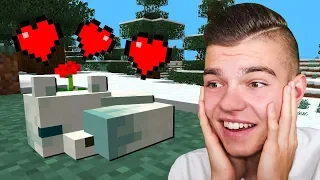 Oswoiłem LISA POLARNEGO w Minecraft! (najtrudniejsze)