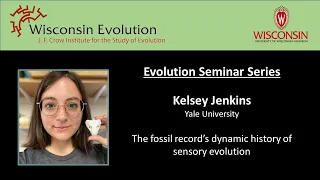 Kelsey Jenkins: The fossil record's dynamic history of sensory evolution