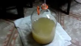 Home Made Scuppernong Wild Grape Wine HOW TO