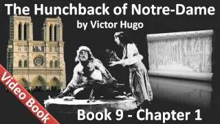 Book 09 - Chapter 1 - The Hunchback of Notre Dame by Victor Hugo - Delirium