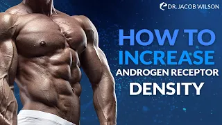 How To Increase Androgen Receptor Density (And Increase Your Hormone Production)