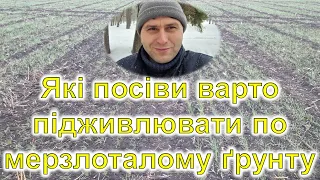 Які посіви варто підживлювати по мерзлоталому грунту?