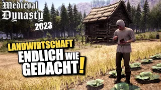 Unser Dorf bewirtschaftet das erste Feld! 😀👍 | Medieval Dynasty 2023 | #3