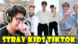 Stray Kids tiktok compilation that made them king of k-pop reaction