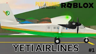 ROBLOX PTFS- YETI AIRLINES FLIGHT 103